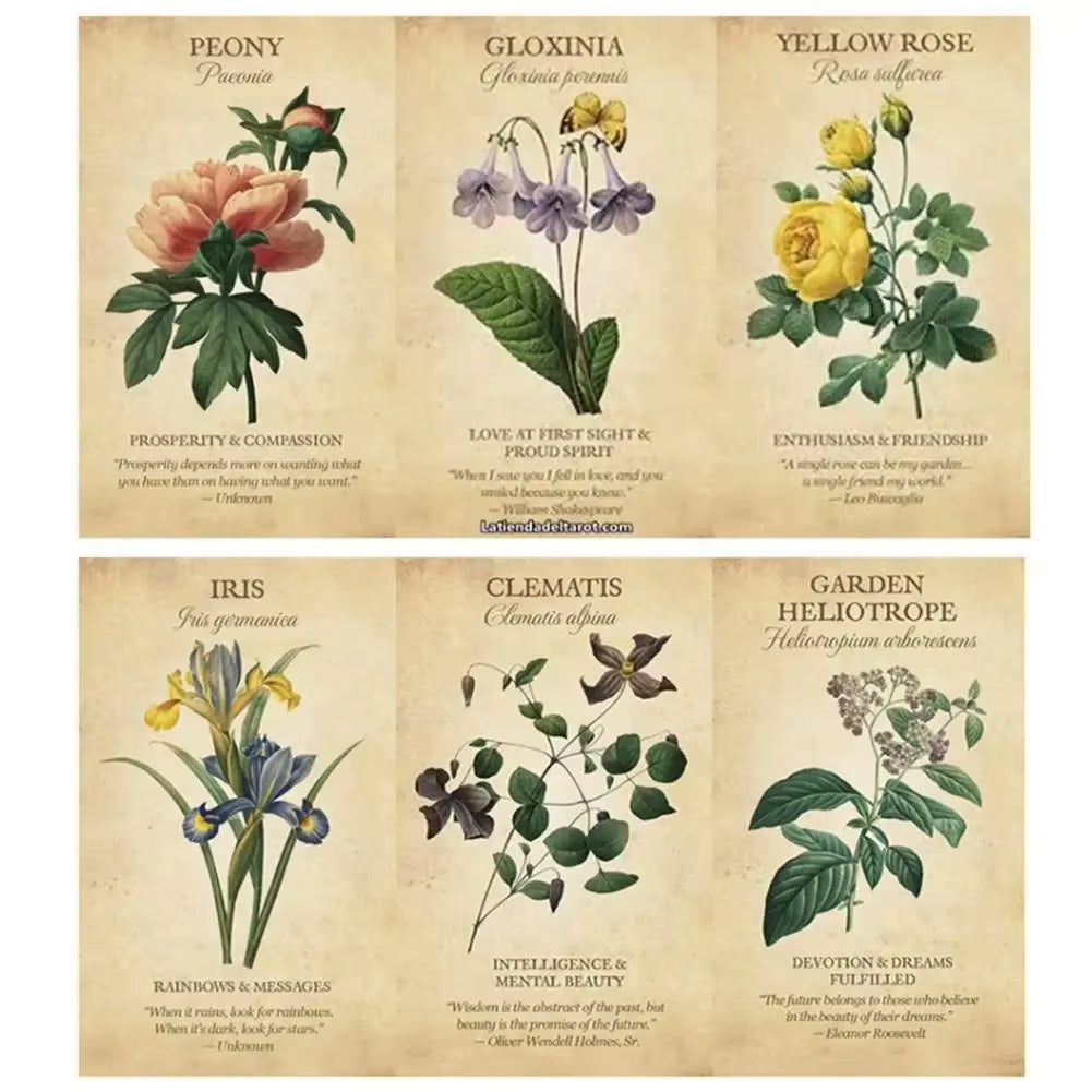 Botanical Inspiration Oracle Cards a 45 Deck Tarot English Version Board Game PDF Guidebook for Personal Use